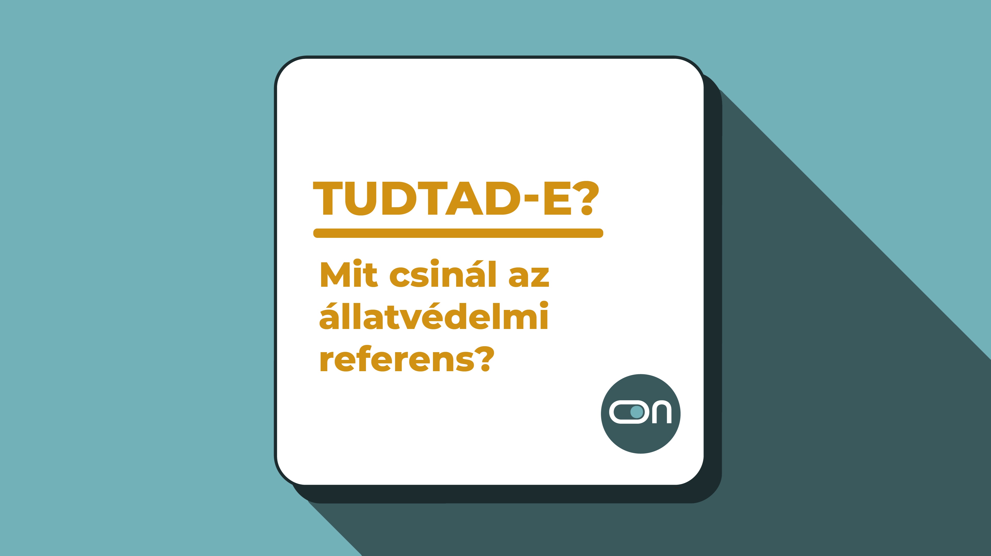 Biatorbágyon az önkormányzat megbízásából Grampsch Rita az állatvédelmi referens. Vele beszélgettünk a munkájáról.