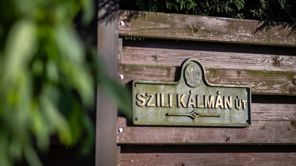 Miért éppen ő? Ez a Szily – az a Szily? Igen és nem.
