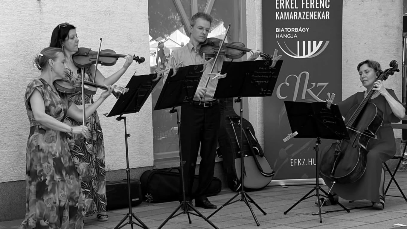 EFKZ Villámkoncert - Hantaival a kertben