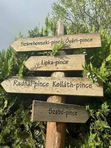 Szüret, hegy, hangulat – érkezik az I. Biatorbágyi Szüreti Fesztivál!