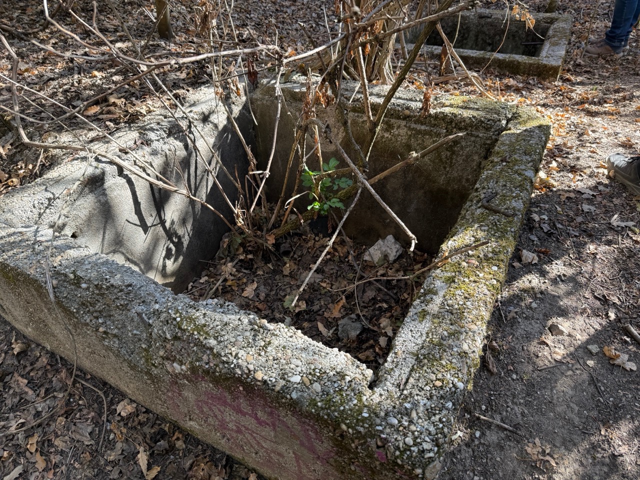Gallery image 71