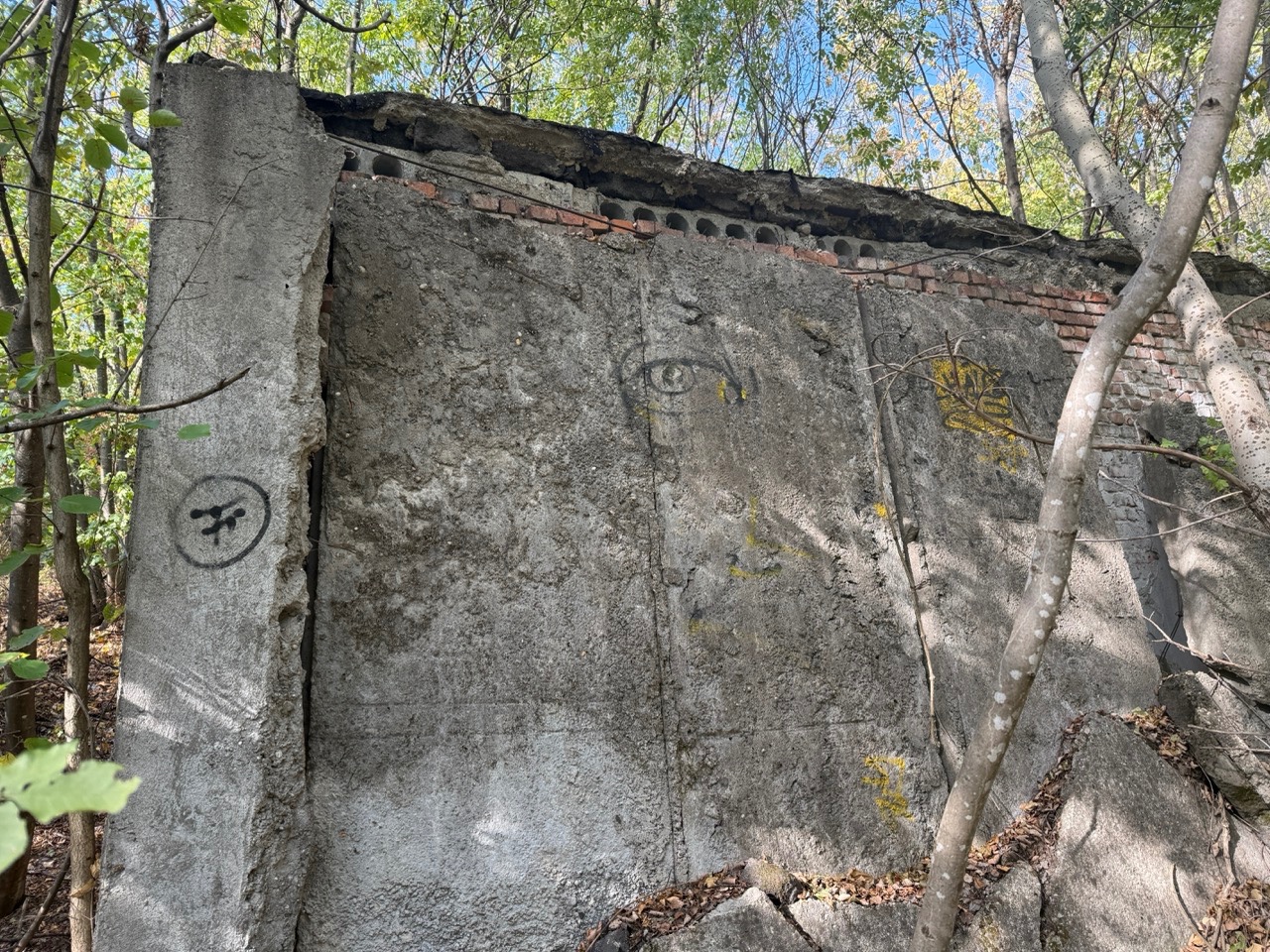 Gallery image 75