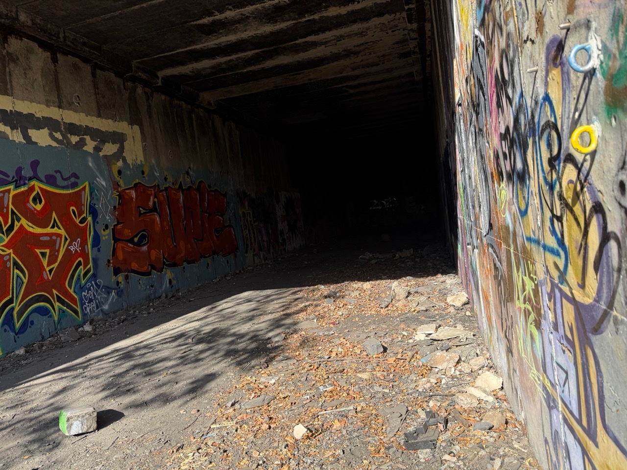 Gallery image 19