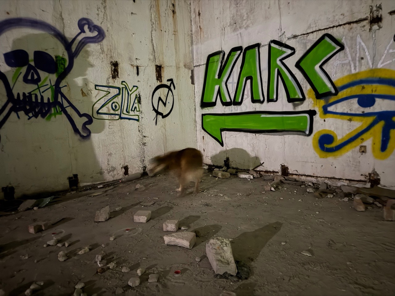 Gallery image 6