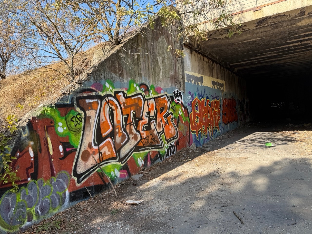 Gallery image 77