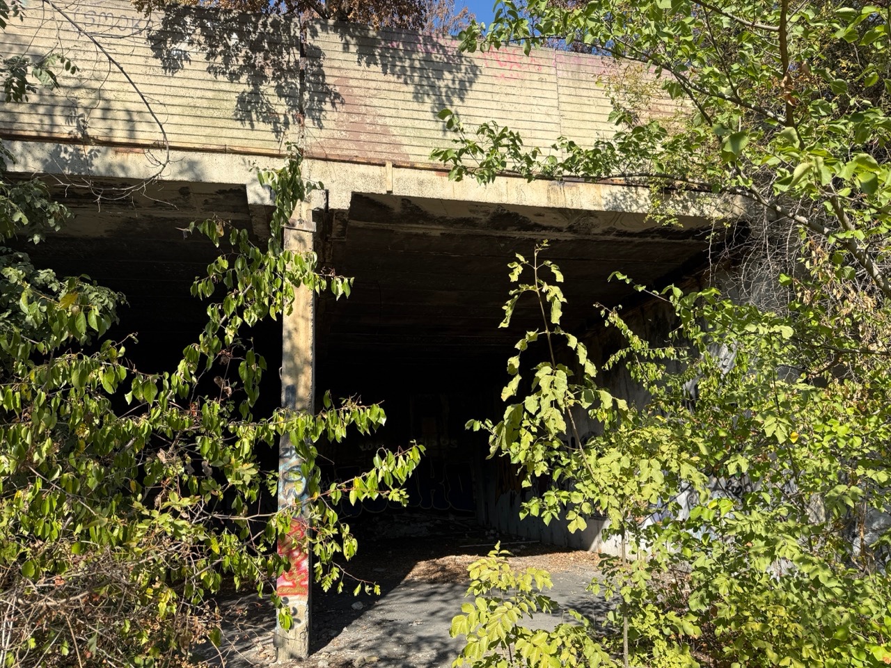 Gallery image 59