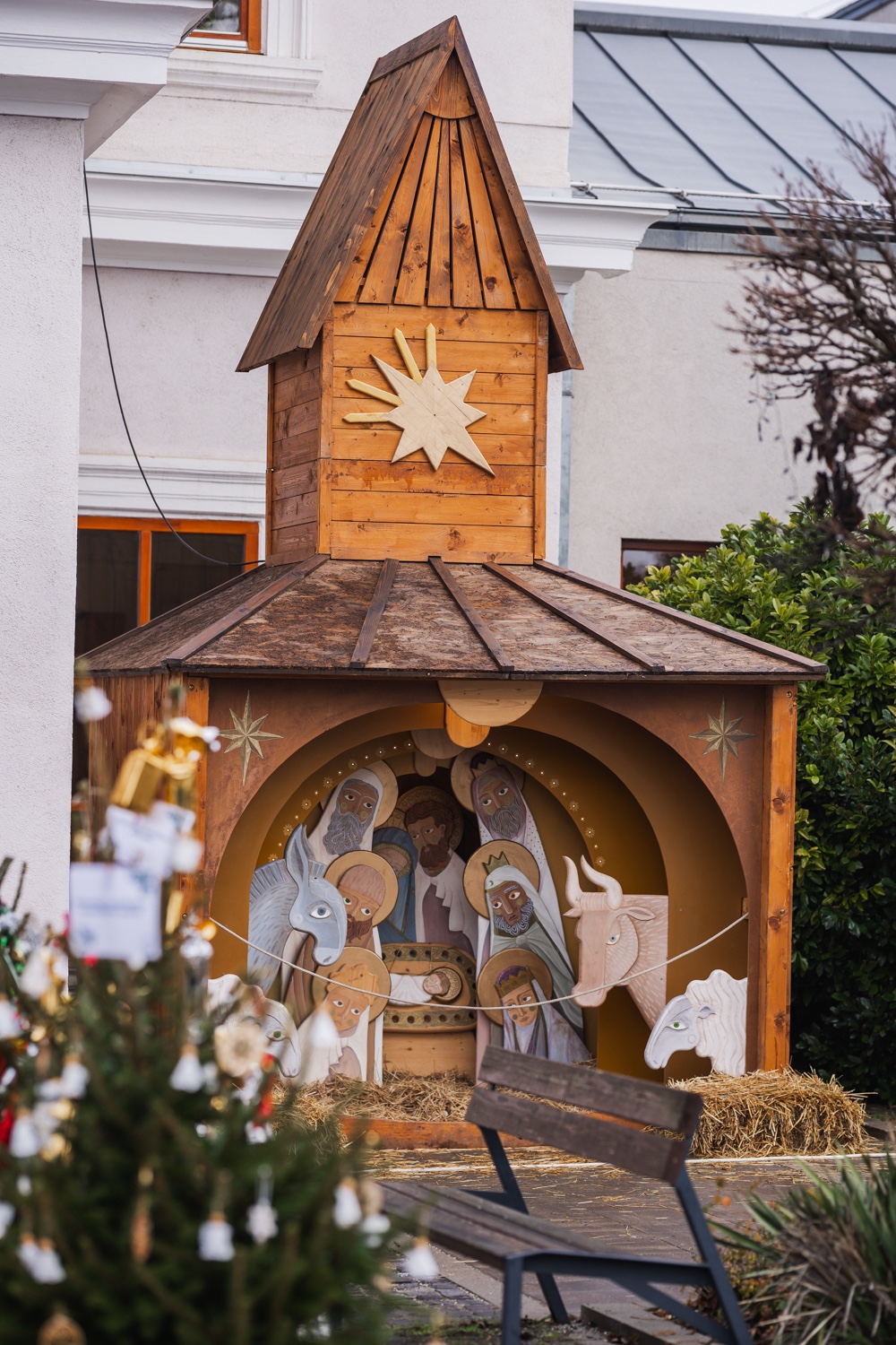 Gallery image 11
