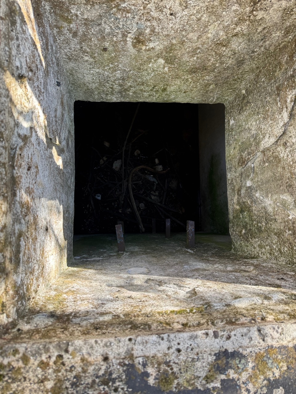 Gallery image 41