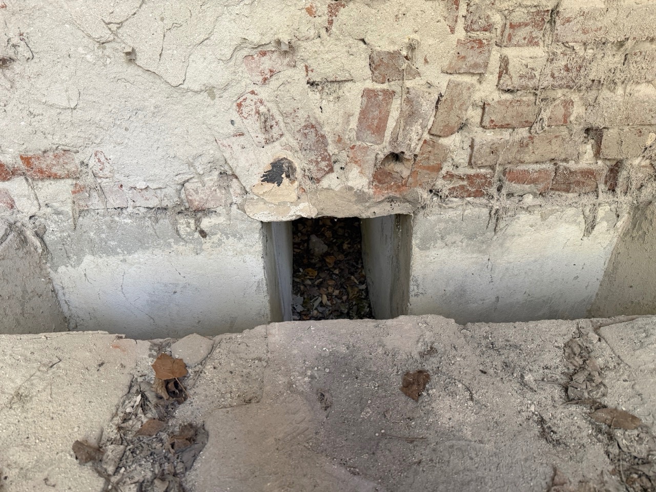 Gallery image 34