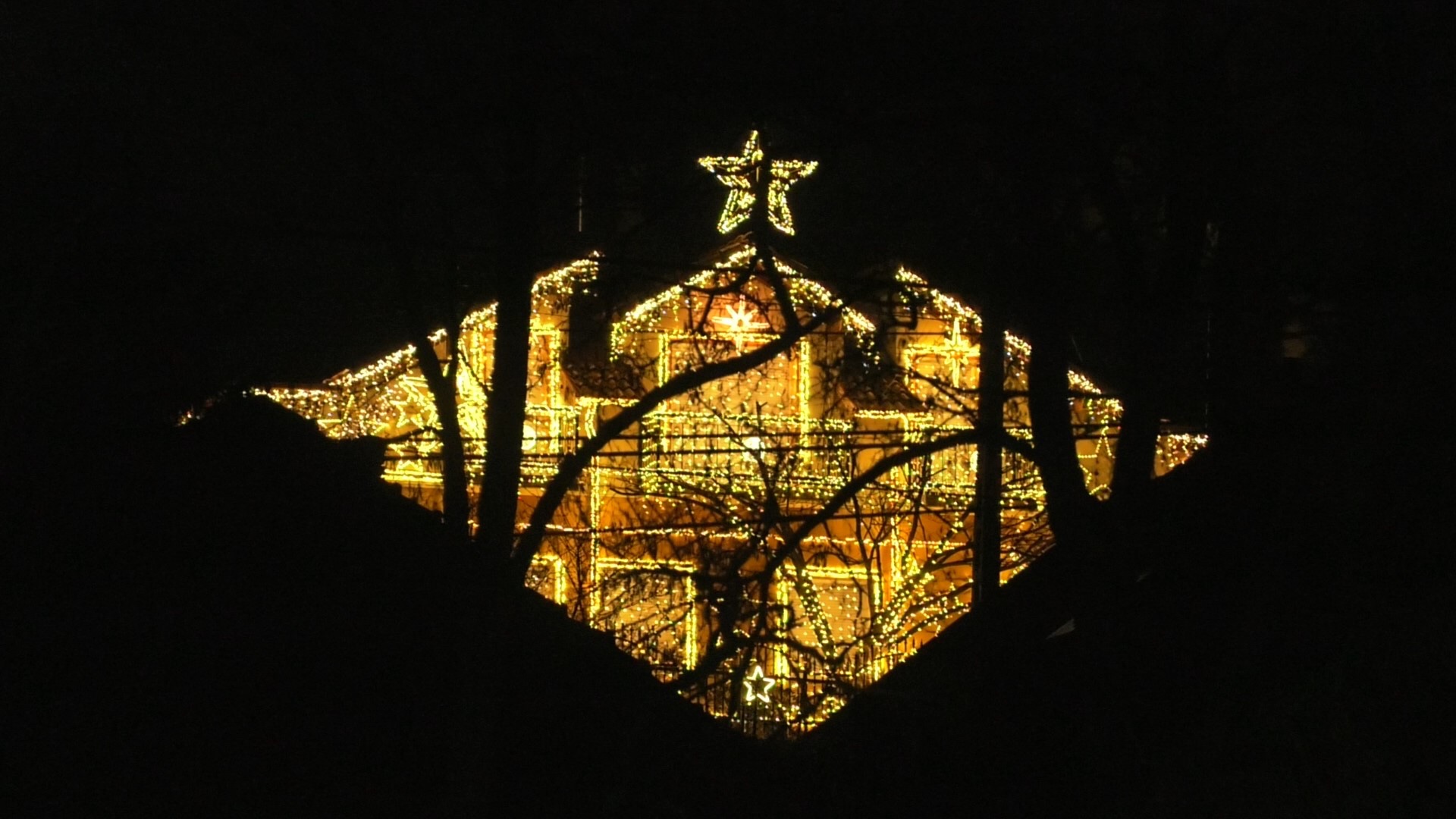 Gallery image 8