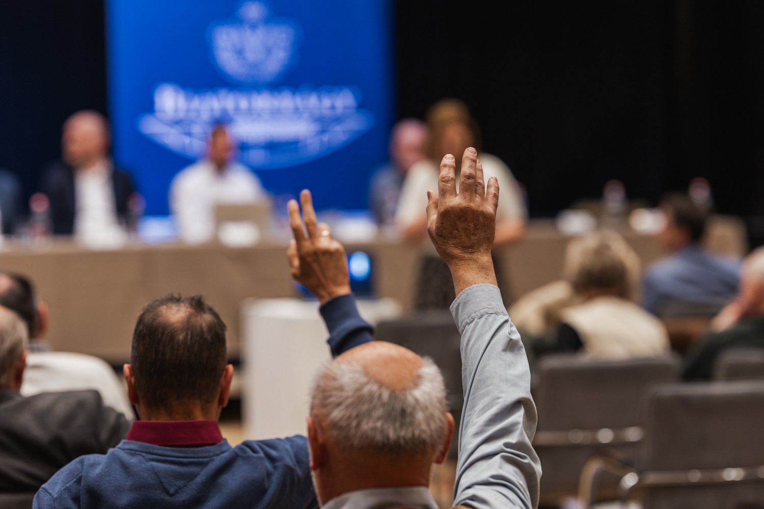Gallery image 16