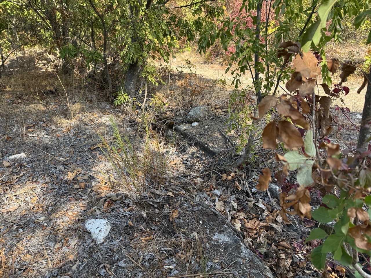 Gallery image 48