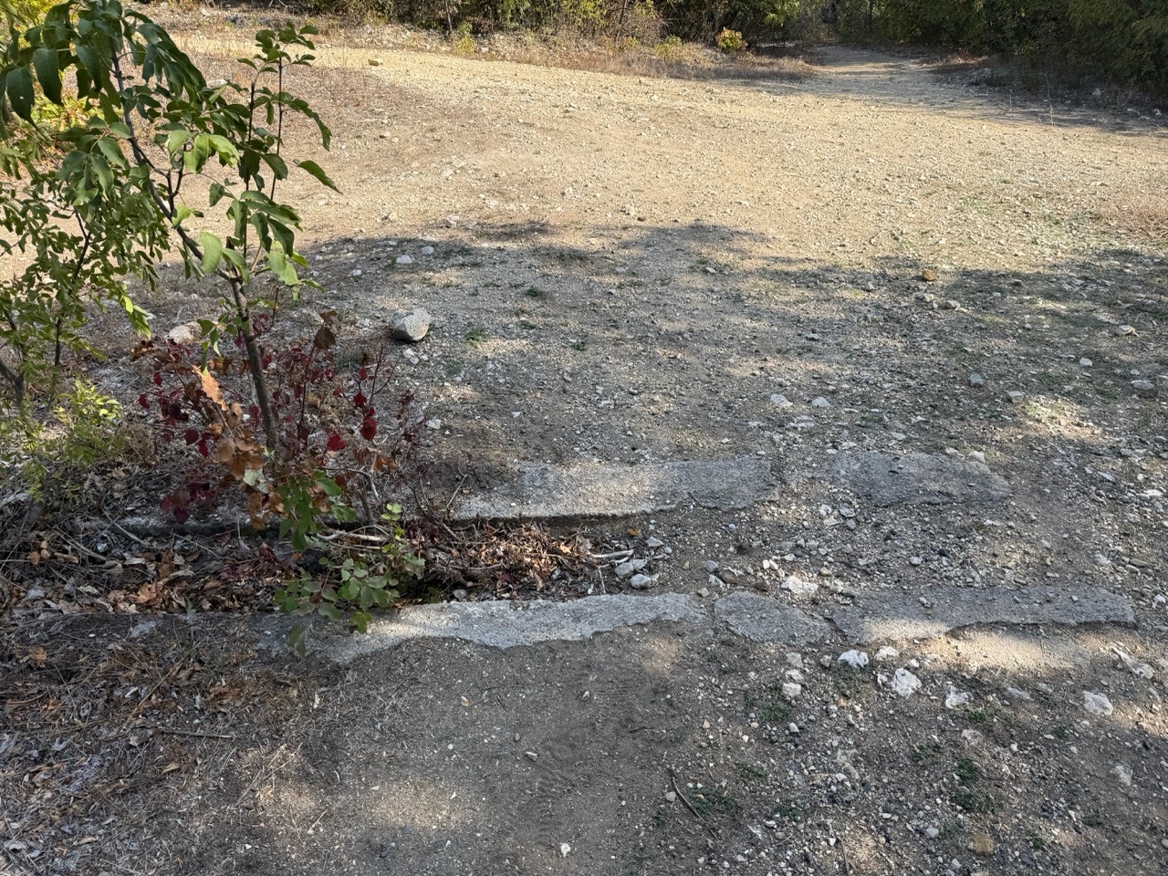 Gallery image 73