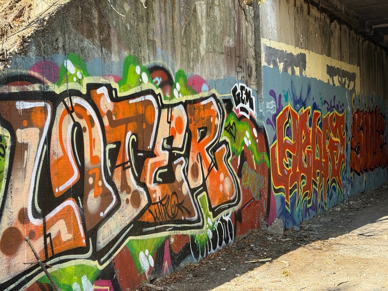 Gallery image 63