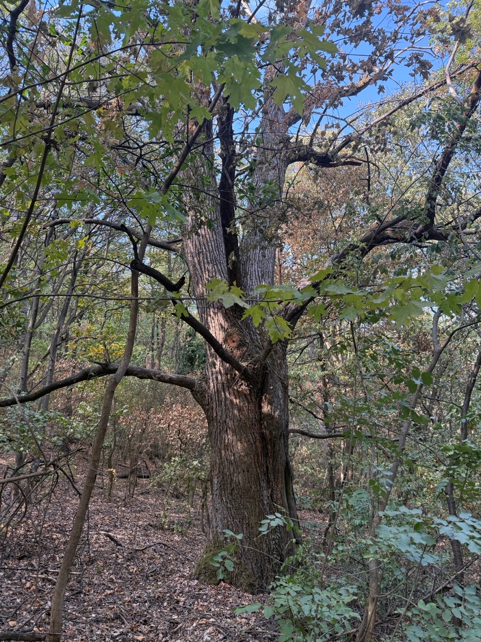 Gallery image 72