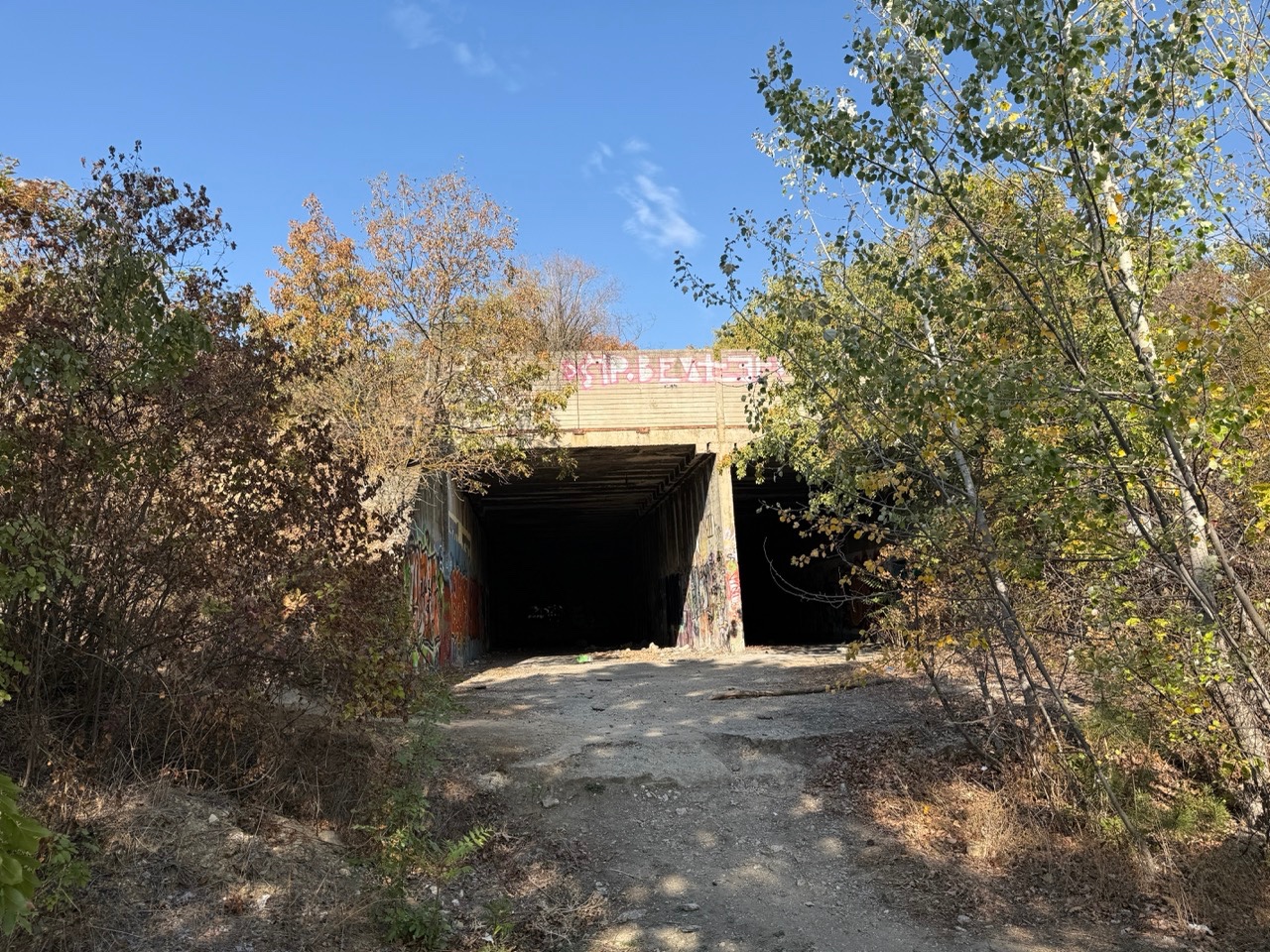 Gallery image 55