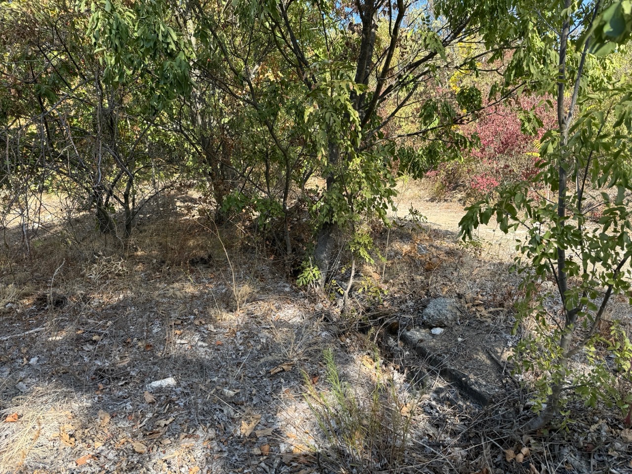 Gallery image 68