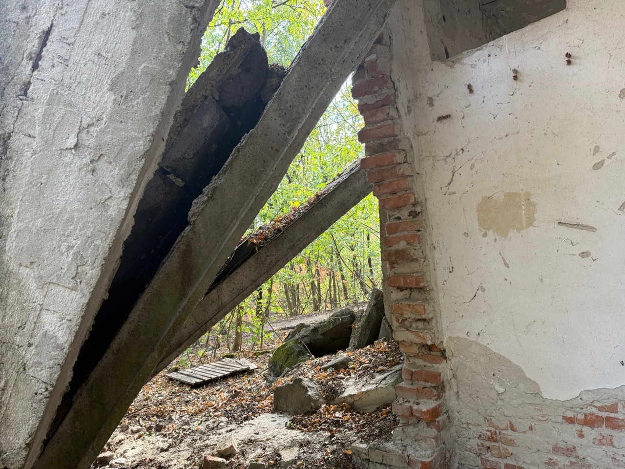 Gallery image 21