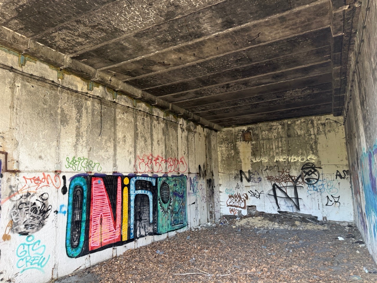 Gallery image 56