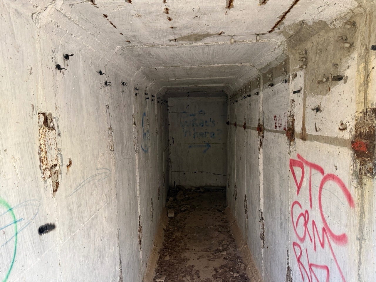 Gallery image 11